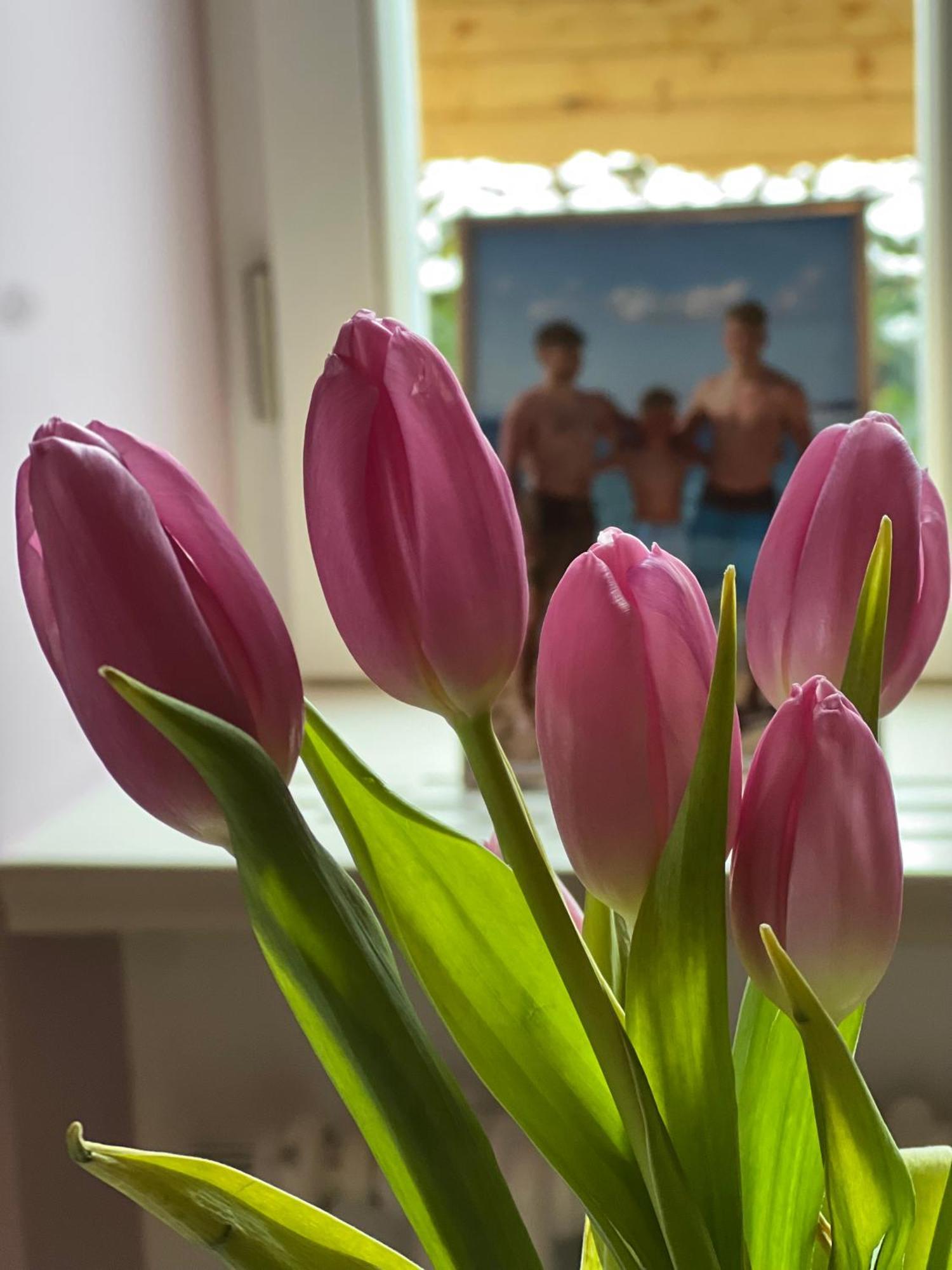 Vila Alice Bled - Adults Only Екстериор снимка