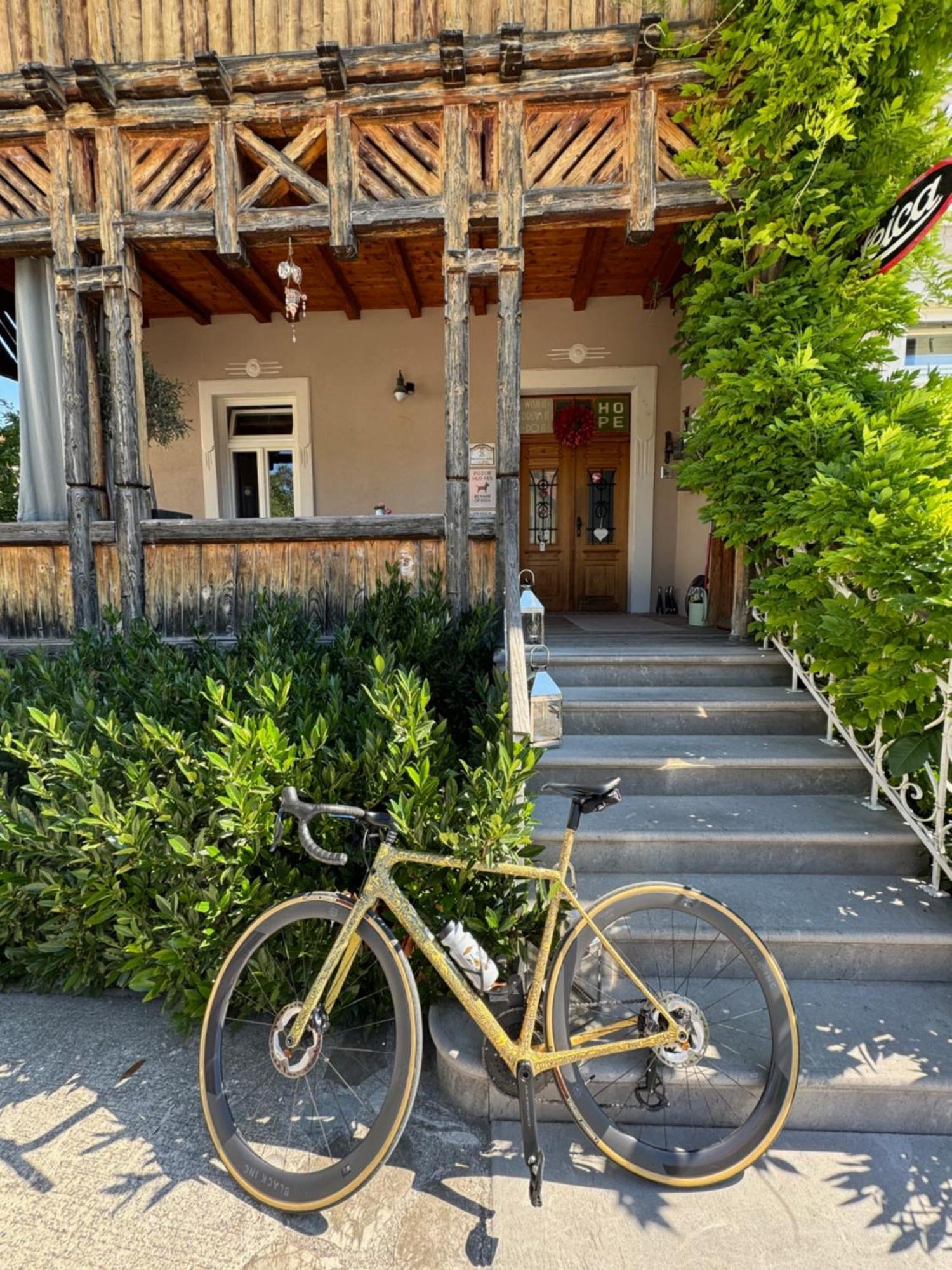 Vila Alice Bled - Adults Only Екстериор снимка