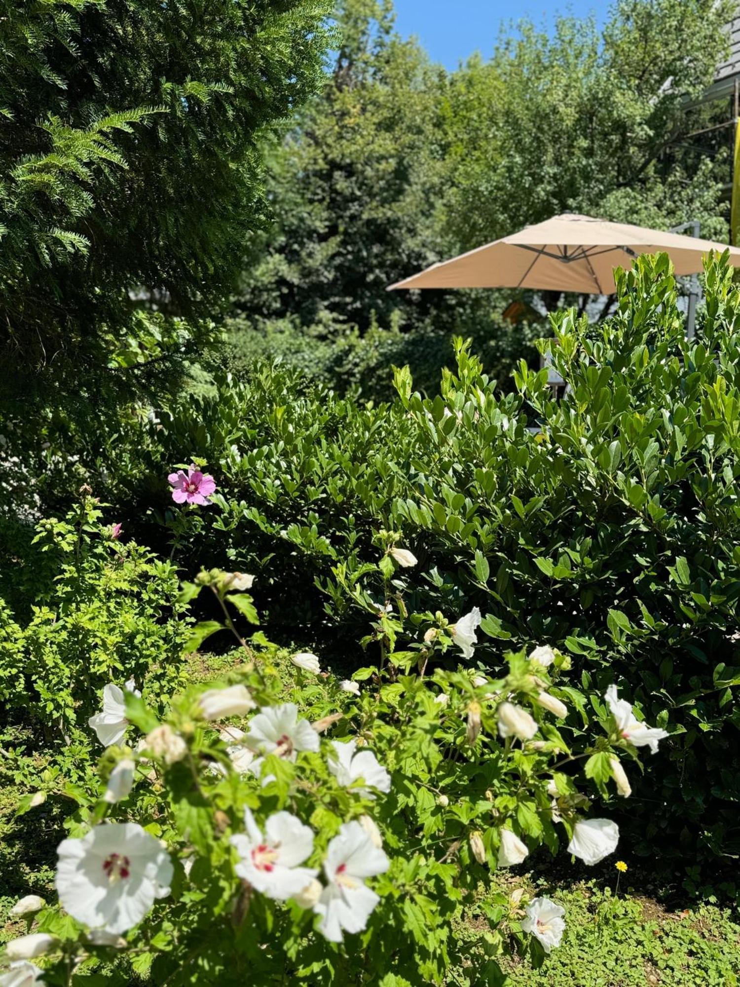 Vila Alice Bled - Adults Only Екстериор снимка